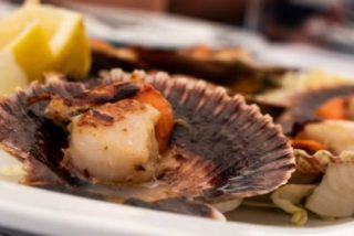 Zamburi&ntilde;as a la plancha?