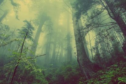 C&oacute;mo controlar especies vegetales amenazadas en entornos extremos