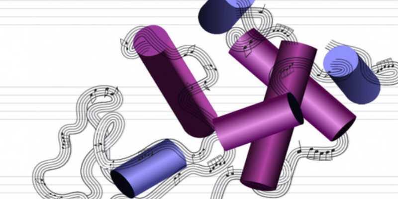 Logran convertir proteínas en música y viceversa