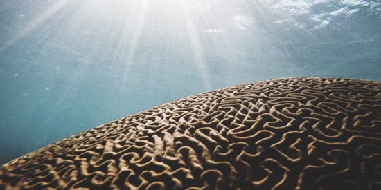 Esclerosis múltiple: cómo luchar contra una enfermedad con mil caras