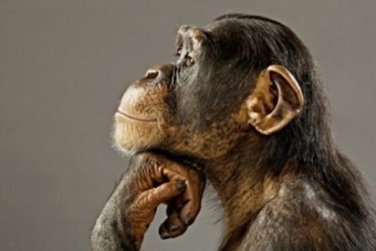 Pron&oacute;stico del Tiempo: aumenta algo el calor este 3 de agosto de 2021