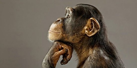 Pronóstico del Tiempo: aumenta algo el calor este 3 de agosto de 2021