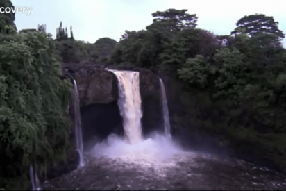 Alerta m&aacute;xima en Haw&aacute;i ante la proliferaci&oacute;n de este terrible el gusano que ataca cerebros humanos