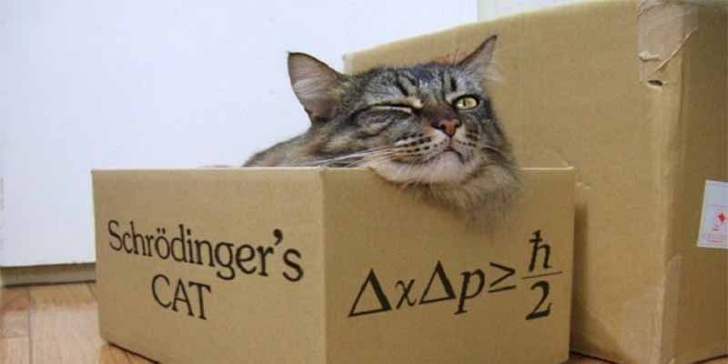 Superposici&oacute;n cu&aacute;ntica: F&iacute;sicos logran predecir los saltos del 'gato de Schr&ouml;dinger' y salvarlo