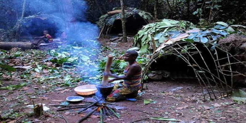 El truco de los pigmeos para encontrar el camino en lo profundo del bosque
