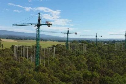El aumento de CO2 provoca desajustes de los ciclos de nutrientes del suelo