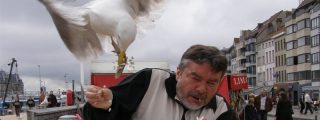 &iquest;Por qu&eacute; se han multiplicado los ataques de aves a humanos?