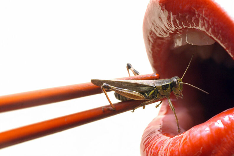 &iexcl;Los saltamontes son los insectos m&aacute;s ricos en antioxidantes!
