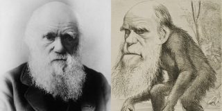 Teor&iacute;a de la evoluci&oacute;n de Darwin: por qu&eacute; es incorrecto decir que 'descendemos del mono'