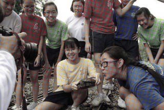 La ilusi&oacute;n &oacute;ptica de los colores y las camisetas