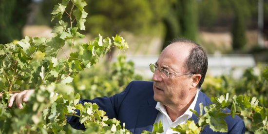 Carlos Moro refuerza su apuesta por Galicia con la adquisici&oacute;n de una bodega en la DO Ribeiro