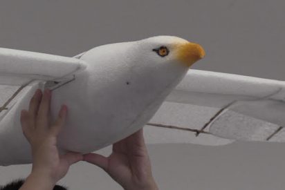 La &uacute;ltima chorrada Made in China: &iexcl;un dron en forma de gaviota!