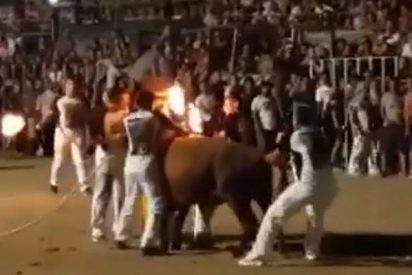 Espectaculares im&aacute;genes de un toro con la cornamenta ardiendo durante la celebraci&oacute;n de un festejo taurino en Amposta