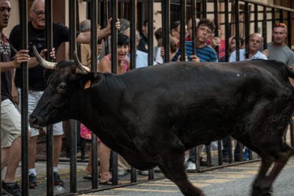 Un toro cabreado cornea a un despistado espectador en un festival taurino