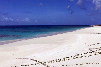Así es Barbuda, la isla en la que la tierra no es propiedad privada