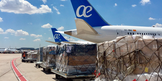 Air Europa aumenta un 24% el transporte de mercanc&iacute;as con su gesti&oacute;n y comercializaci&oacute;n directa