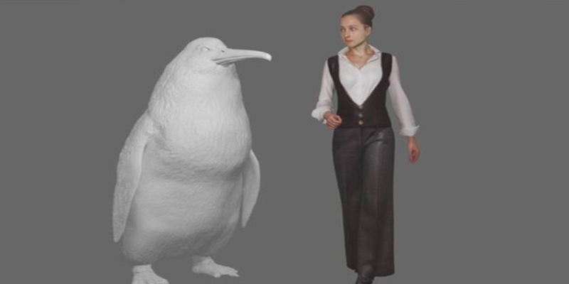 Este era el 'ping&uuml;ino monstruo' que alcanzaba tama&ntilde;o humano y vivi&oacute; hace millones de a&ntilde;os en Nueva Zelanda