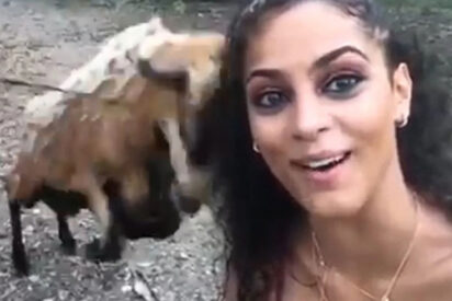 El selfie de la turista con la cabra