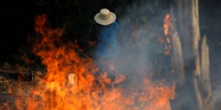 El CELAM pide que se tomen medidas para 'salvar el pulmón del mundo'