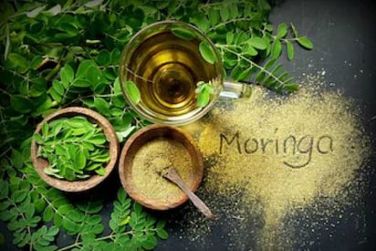 Propiedades de la Moringa Oleifera