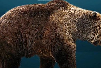 &iquest;Sabes cu&aacute;l fue la primera especie extinguida por los humanos?