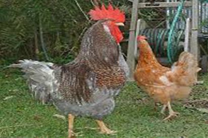 Pronóstico del Tiempo: lluvias, viento y avisos en el norte este martes 21 de octubre de 2025