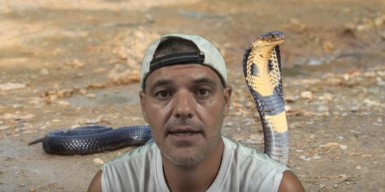 Frank Cuesta y el veneno de la serpiente