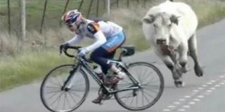 Bicicleta: 10 momentos espectaculares sobre la dureza del ciclismo