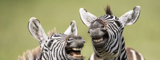 Pron&oacute;stico del Tiempo: lluvias y m&aacute;s fresco este 7 de noviembre de 2020