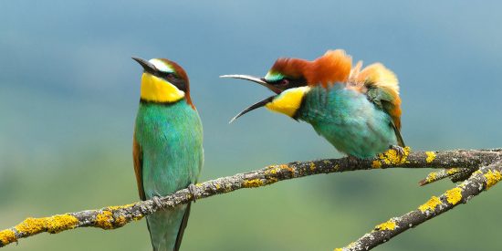 Pron&oacute;stico del Tiempo: calor extremo y cielos despejados en Espa&ntilde;a este domingo 17 de agosto de 2025
