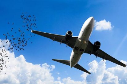 Piloto graba desde la cabina el impacto de un p&aacute;jaro contra el parabrisas del avi&oacute;n