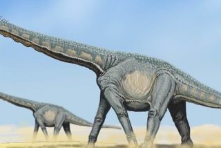 Descubren huellas de dinosaurios de hace 100 millones de años en China