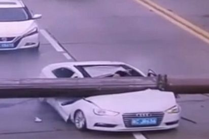 &iquest;Adivinas si el conductor sobrevivi&oacute;, quedo paral&iacute;tico o muri&oacute; aplastado?