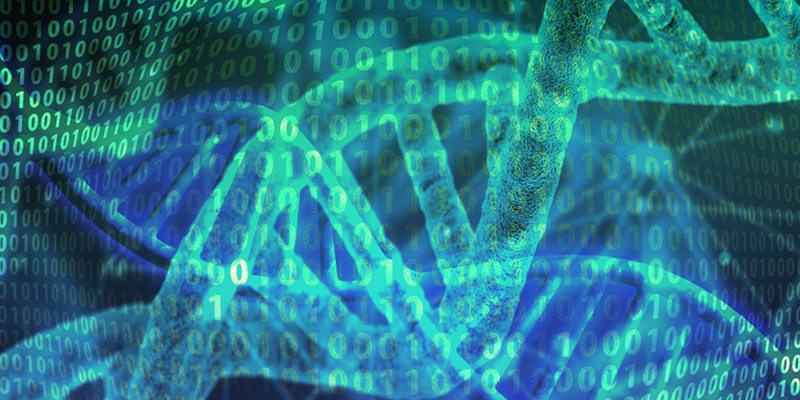 Esta nueva t&eacute;cnica de edici&oacute;n gen&eacute;tica corrige el 89% de las mutaciones del ADN