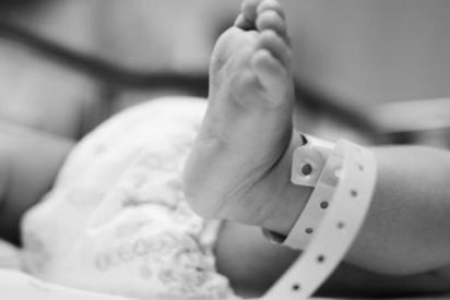 F. A. Juan Mata Hern&aacute;ndez: "La vyda tras la vida. La quintaesencia"