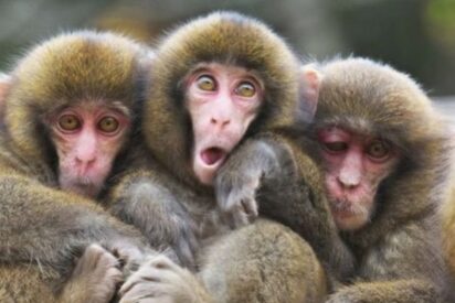 Pron&oacute;stico del Tiempo: Espa&ntilde;a recibe con aire fresco y alguna sorpresa este domingo 9 de noviembre de 2025