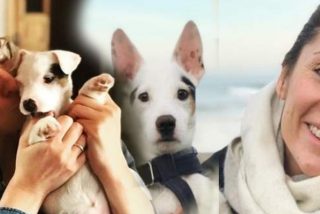 Sandra Barneda y Nagore Robles: en pie de guerra por la custodia de un perro