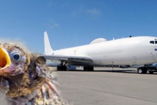 Un 'pajarito' aver&iacute;a este super avi&oacute;n estadounidense dise&ntilde;ado para la guerra nuclear