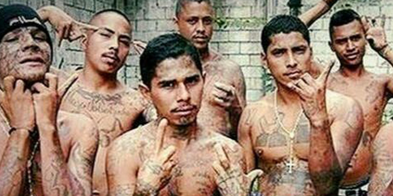 Una pelea con machetes y armas de fuego entre bandas latinas en Madrid deja siete heridos, cuatro graves