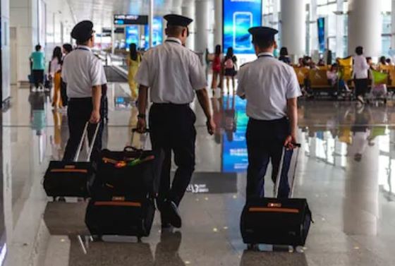 Maletas de piloto más vendidas en Amazon ✈️ - Periodista Digital