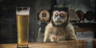 V&iacute;deo viral: El tipo que abre las cervezas a sus colegas sin bajarse de la bici&hellip;
