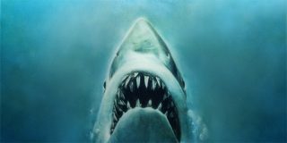 Tibur&oacute;n: &iquest;No se te arruga el coraz&oacute;n cada vez que ves esta escena?