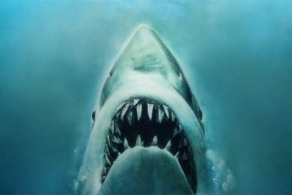 Tibur&oacute;n: &iquest;No se te arruga el coraz&oacute;n cada vez que ves esta escena?