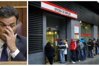El terrorífico escenario que deja Pedro Sánchez: agosto cierra con 190.000 empleos destruidos y más de 40.000 nuevos parados
