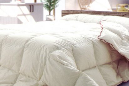 &iexcl;OJO!: Un nuevo estudio advierte sobre el peligro del edred&oacute;n n&oacute;rdico de plumas