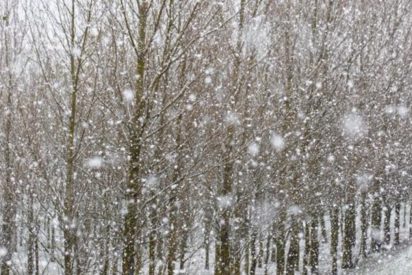 Nevadas intensas y temperaturas diez grados por debajo de lo normal llegan a España