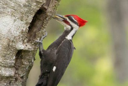 Pron&oacute;stico del Tiempo para este jueves 15 de enero de 2026