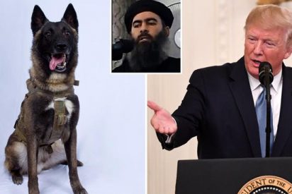 Trump condecora a Conan en la Casa Blanca, el perro que participó en la operación contra el líder del ISIS