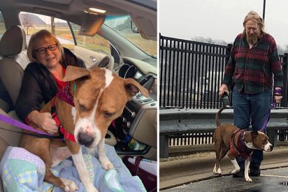 Unos animalistas devuelven a su hogar a este perro robado y trasladado a m&aacute;s de 3.000 kil&oacute;metros en EE.UU. 