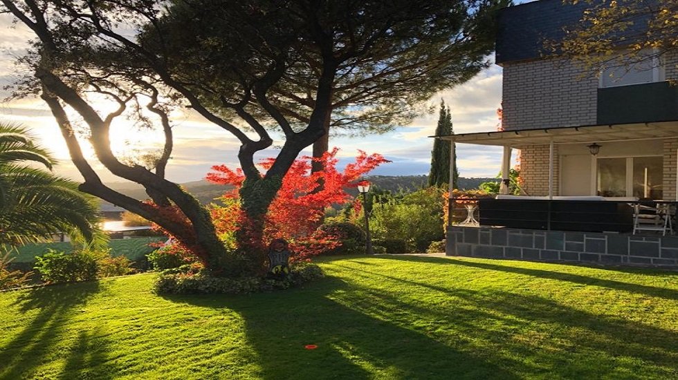 C&oacute;mo arreglar un jard&iacute;n: 10 trucos